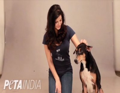 Actress Sunny Leone has recently launched a vegan campaign at the Lakme Fashion Week. In association with People for the Ethical Treatment of Animals (PETA), Sunny unveiled her new ad, which shows the actress