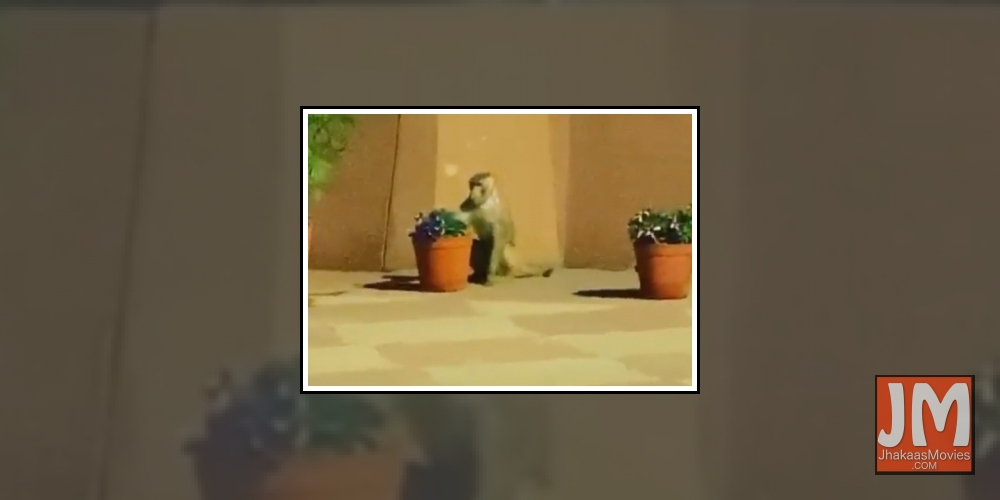 Oscar-winning Indian composer AR Rahman was one of the guests at the recent dinner in the Capital hosted in honour of US President Donald Trump, during the latter's India visit. Although the grand gala at Rashtrapati Bhavan was teeming with dignitaries i