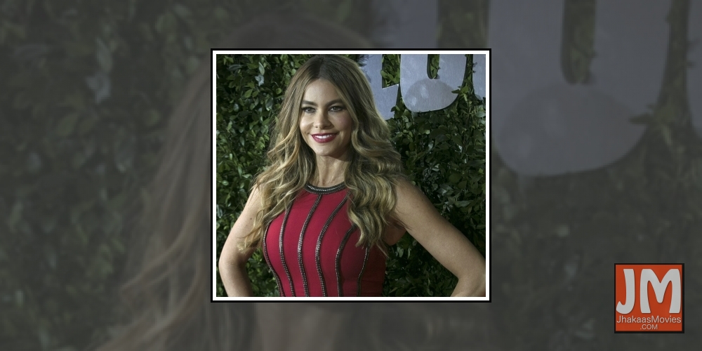 Actress Sofia Vergara.