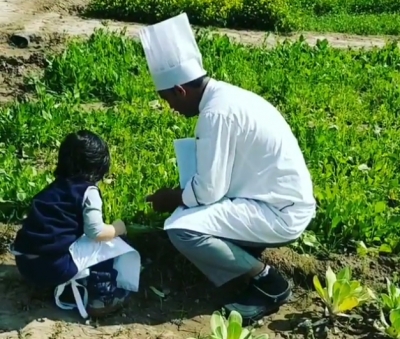 Taimur Ali Khan picks organic veggies at a farm.