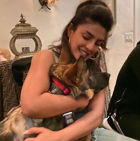 Priyanka 'Staying at home' during corona scare, spends time with dog Gino.