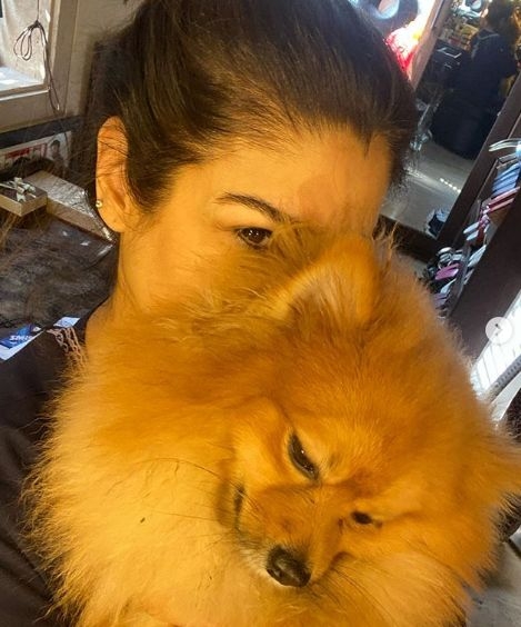 Going with the Insta ID 'livinitupwithlucifer' is actress Raveena Raveena Tandon-Thadani's cute Pomeranian. The actress has made a profile on the photo-sharing website to give everyone an insight to her puppy's life. Lucifer enjoys a fan following of over 1K fans on the social media website.