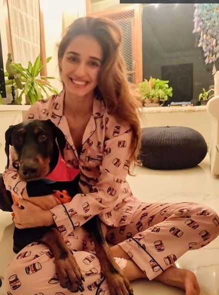 Disha Patani is a parent to not one but four furry 'kids' -- two dogs and two cats, who go by the names of Bella, Jasmine, Goku and Keety. The four-legged friends on Instagram have a following of a whopping 21.1k followers.