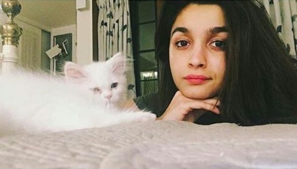 Actress Alia Bhatt has a white persian cat, whom she has named Edward. She constantly gives sneak peek into her kitty's life through his profile "bhattedward". Edward's bio reads: "Momma's boy @aliaabhatt. Eddiiee..."