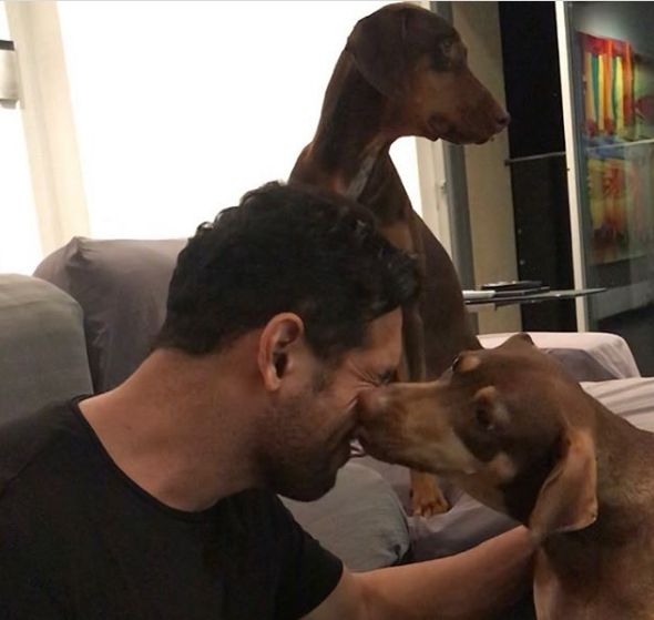 Bollywood hunk John Abraham has two furry babies, Sia and Bailey. The two have a profile "abraham_bailey"  and enjoy a fan following of over 15.1K. Their bio reads: "Hi, I'm Bailey and this is my baby girl Sia! I was adopted by my awesome parents and we all live together". Their profile currently has 141 posts.