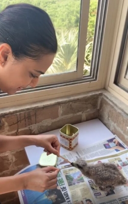 Swara Bhasker rescues black kite bird.