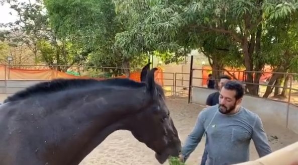 Salman Khan eats leaves for breakfast along with his horse, says it's 'damn good'.