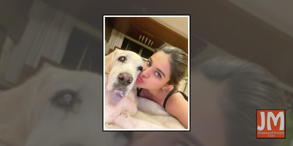 Lockdown diaries: South stars spend quality time with furry friends.