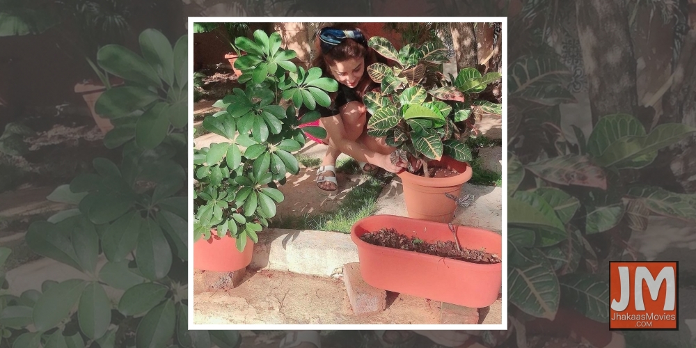 Lockdown diaries: Farmville time in B-Town!.