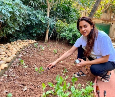 Lockdown diaries: Farmville time in B-Town!.