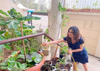 Lockdown diaries: Farmville time in B-Town!.