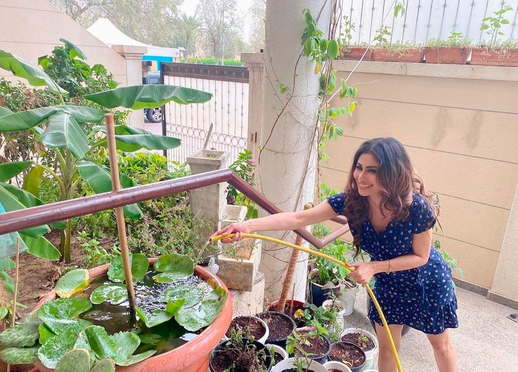 Lockdown diaries: Farmville time in B-Town!