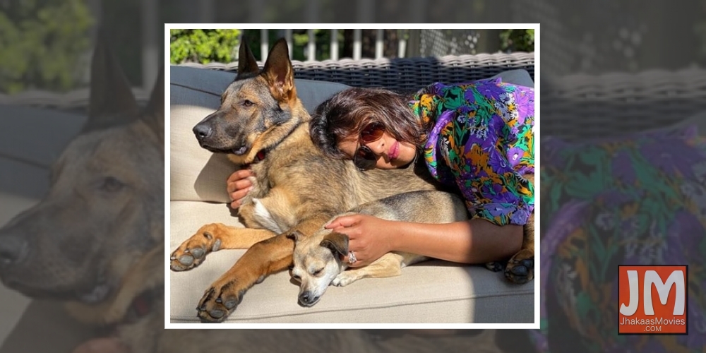 Priyanka Chopra's new pic packed with sunshine, cuddles.