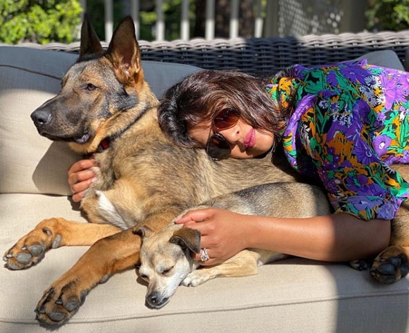 Priyanka Chopra's new pic packed with sunshine, cuddles.