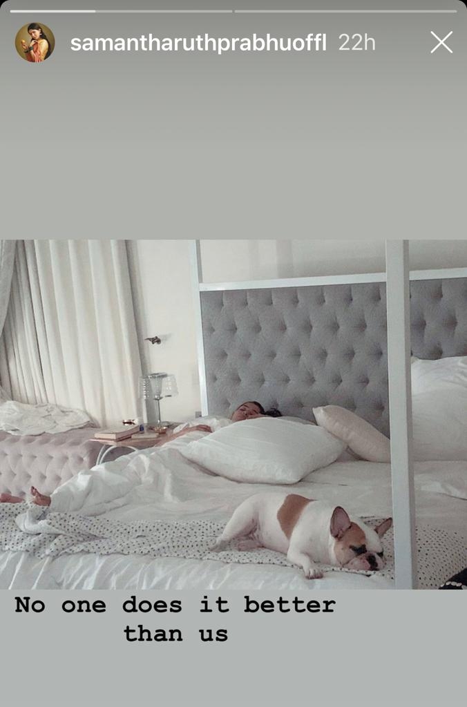 Samantha and her pet dog cannot be beaten in this job!.