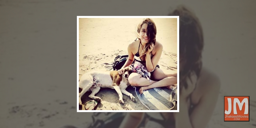 Shraddha Kapoor lauds Rajasthan villagers for helping animals.