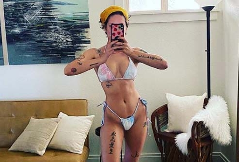 Lockdown diaries: Singer Halsey is studying law.