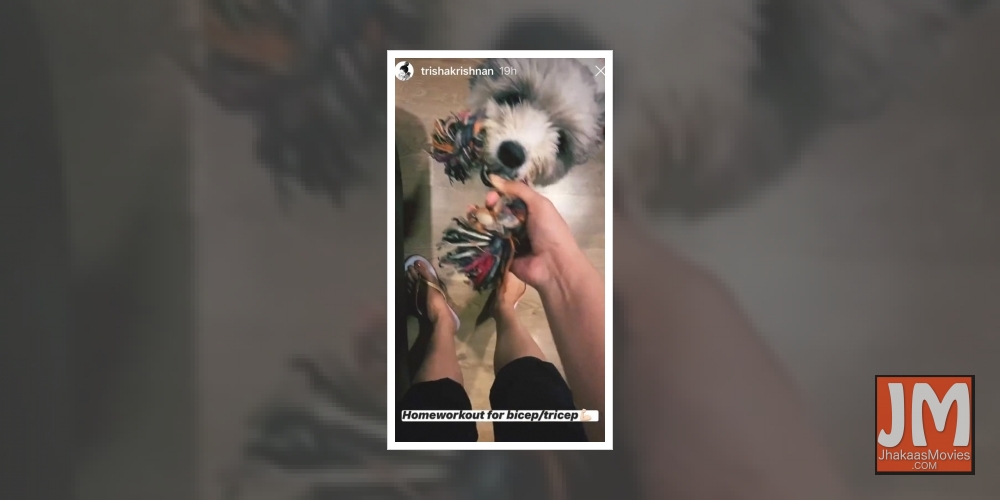 Trisha discovers a new 'home workout for triceps and biceps'.