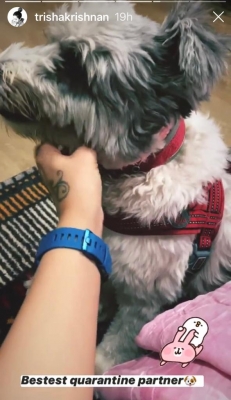 Trisha discovers a new 