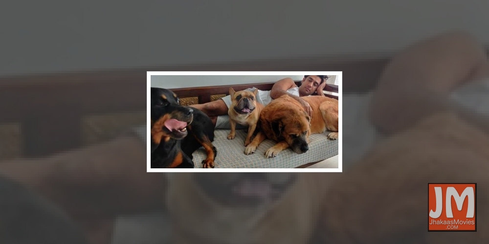 Amit Sadh spends birthday with his pets amid lockdown.