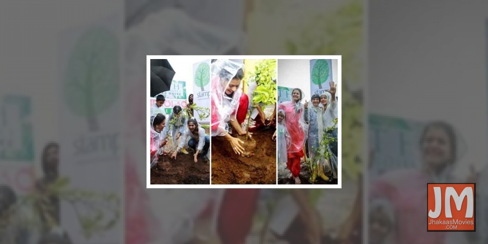 World Environment Day: B-Towners talk of our responsibility towards nature.