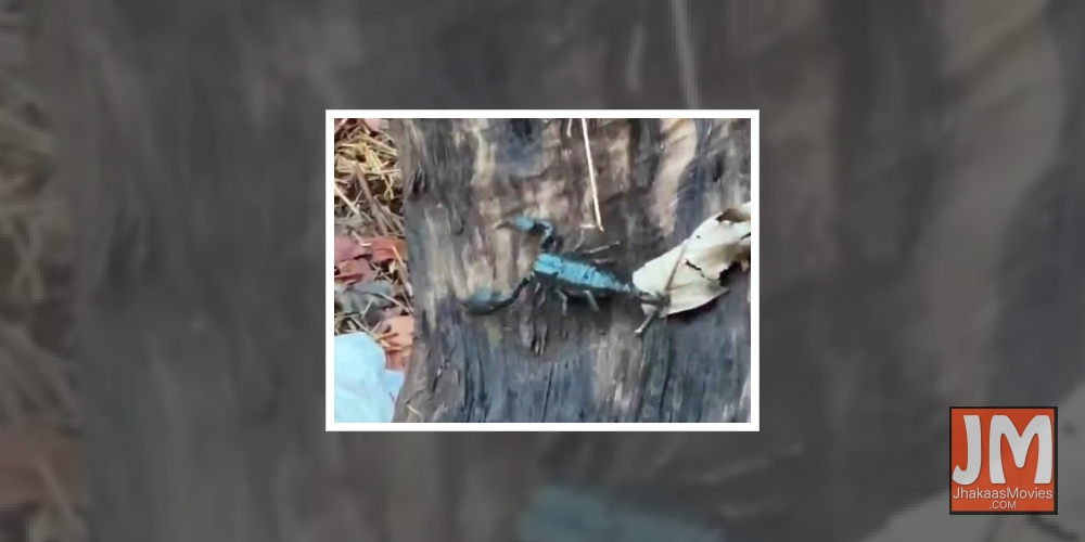 Salman Khan's Panvel farmhouse affected by cyclone Nisarga.