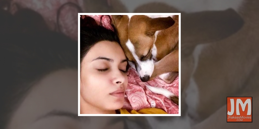 Diana Penty shares picture with her 'nap buddy'.