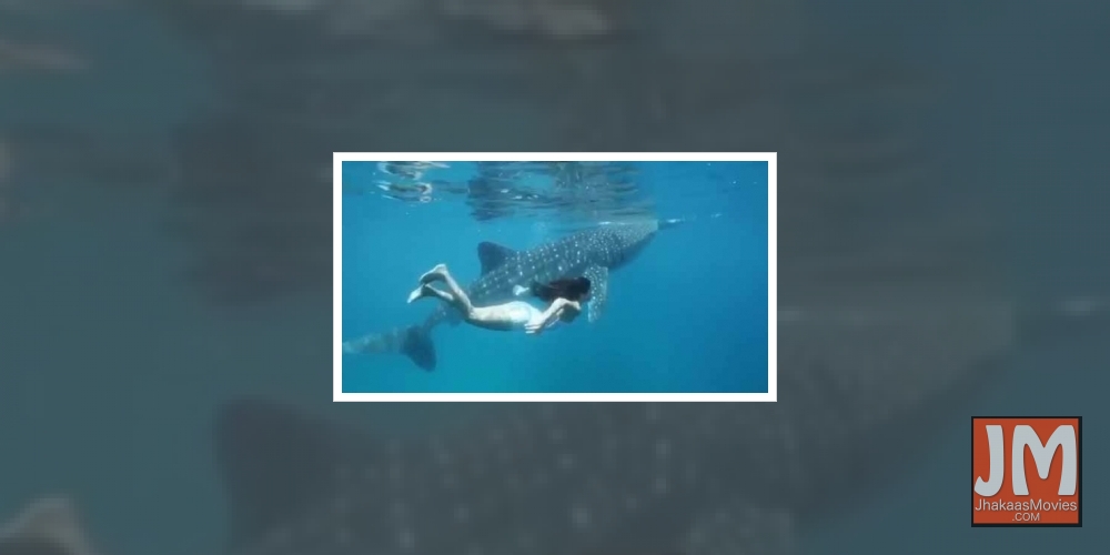 When Katrina Kaif went swimming with her 'most incredible friend'.