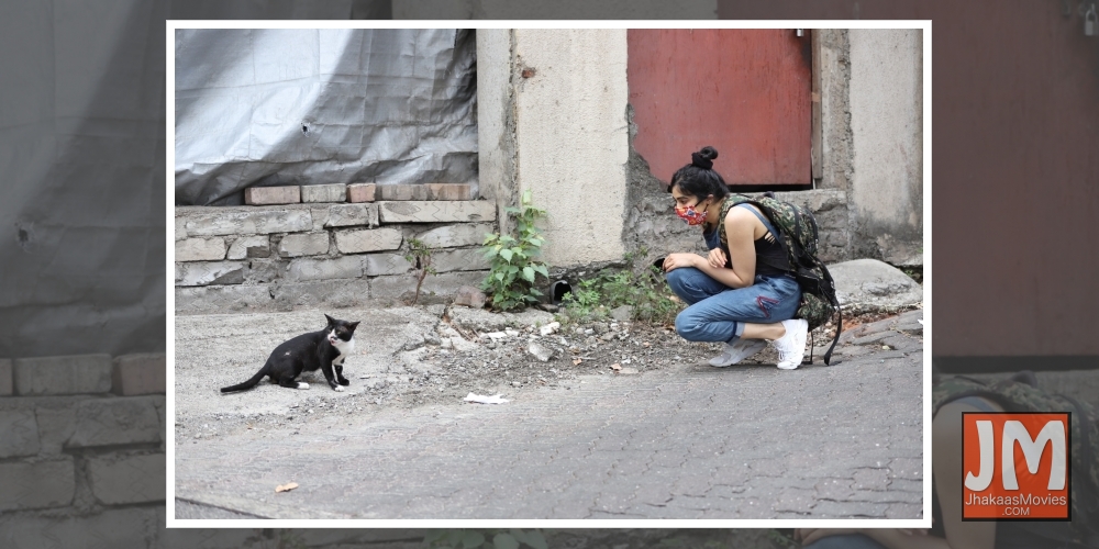 Adah Sharma's important message while feeding stray animals.