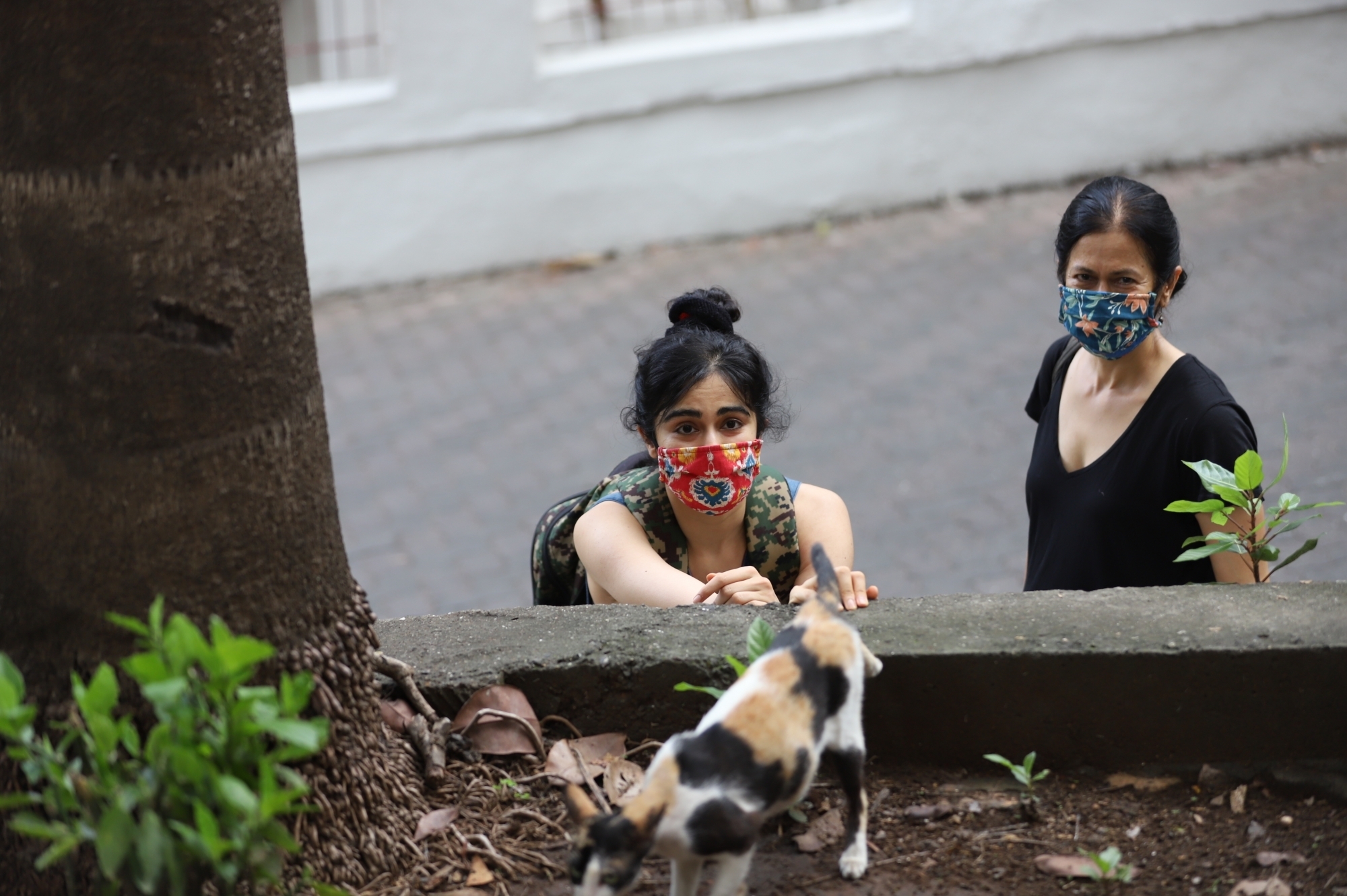 Adah Sharma's important message while feeding stray animals.