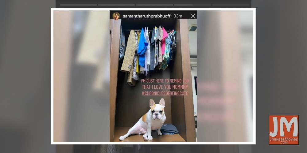 Samantha shares 'chronicles of being cute'.