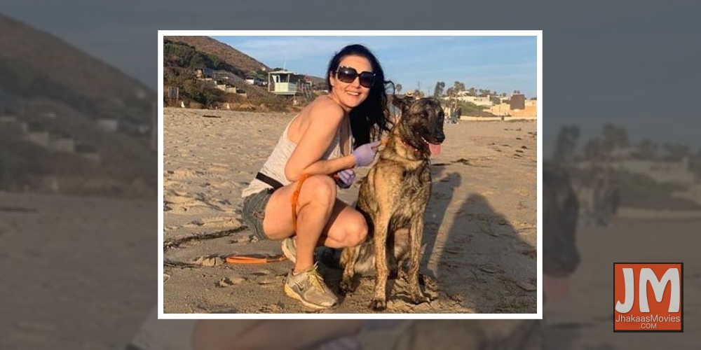 Preity Zinta hits the beach after 104 days with pet pup.