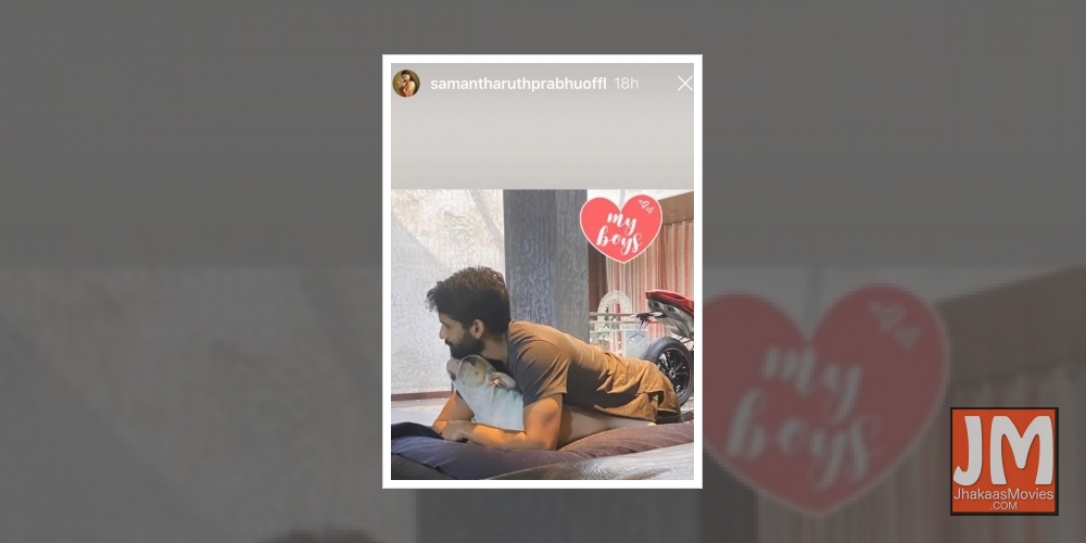 Samantha Akkineni shares snapshots of her 'boys'.