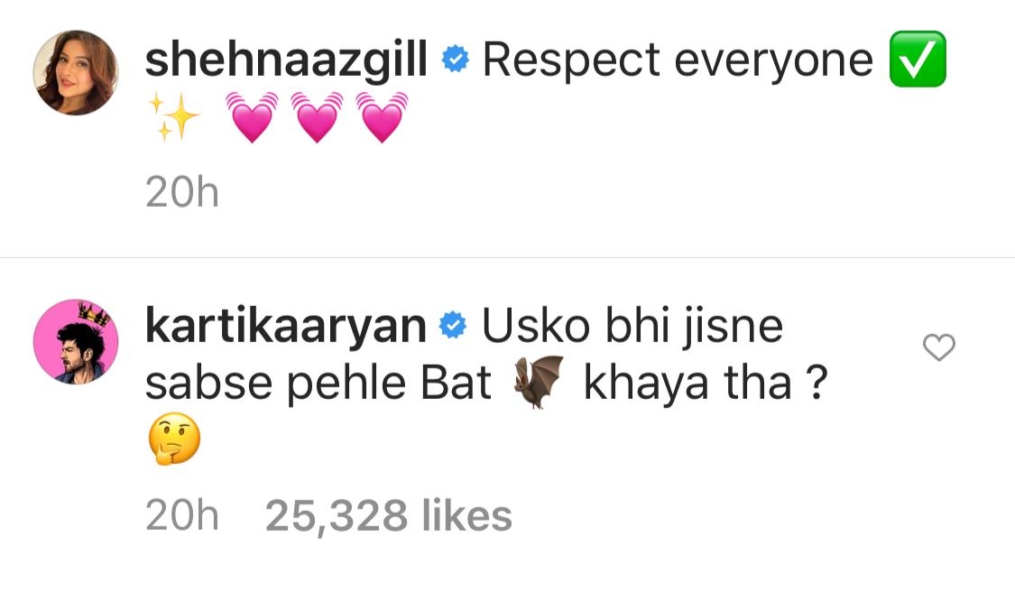 Kartik Aaryan has a funny quip for Shehnaaz Gill.