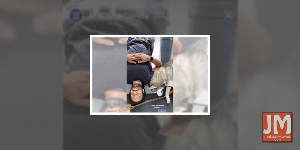 Kriti Kharbanda watches Pulkit, pet dog 'meditate'.