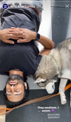 Kriti Kharbanda watches Pulkit, pet dog 