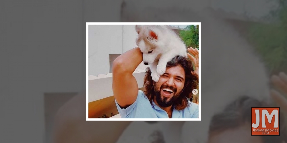 Vijay Deverakonda introduces fans to Storm Deverakonda.