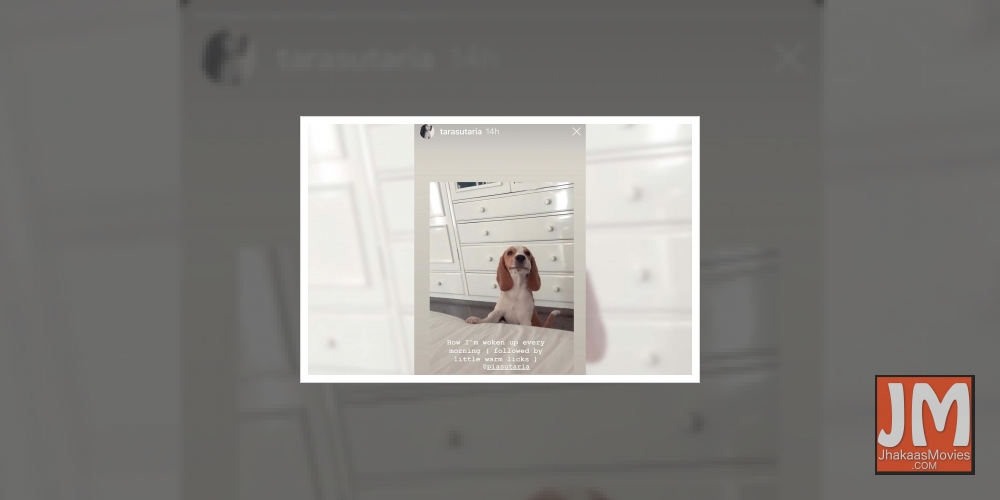 This is how Tara Sutaria wakes up every morning.