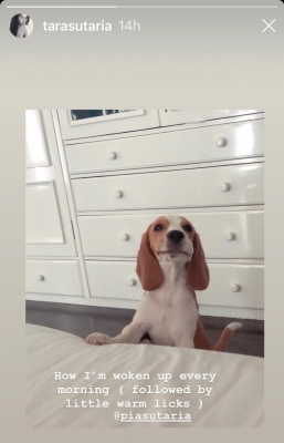 This is how Tara Sutaria wakes up every morning.