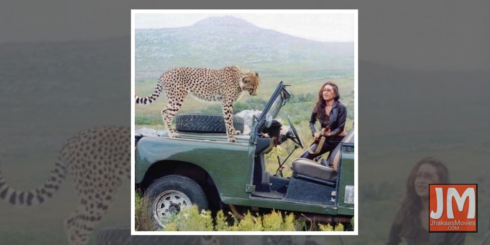 When Karisma Kapoor shared screen space with 'cheetah'.