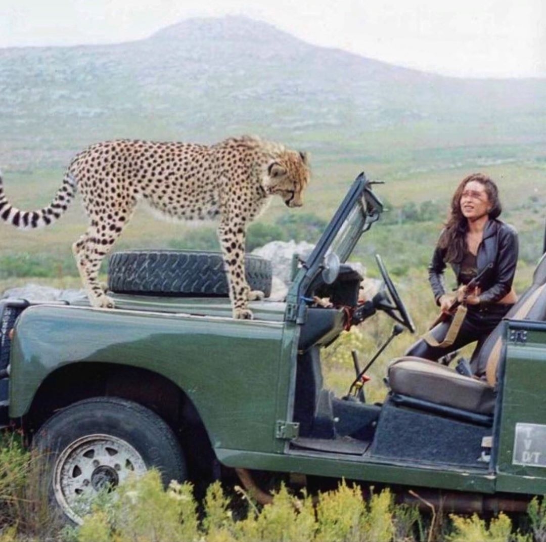 When Karisma Kapoor shared screen space with 'cheetah'.