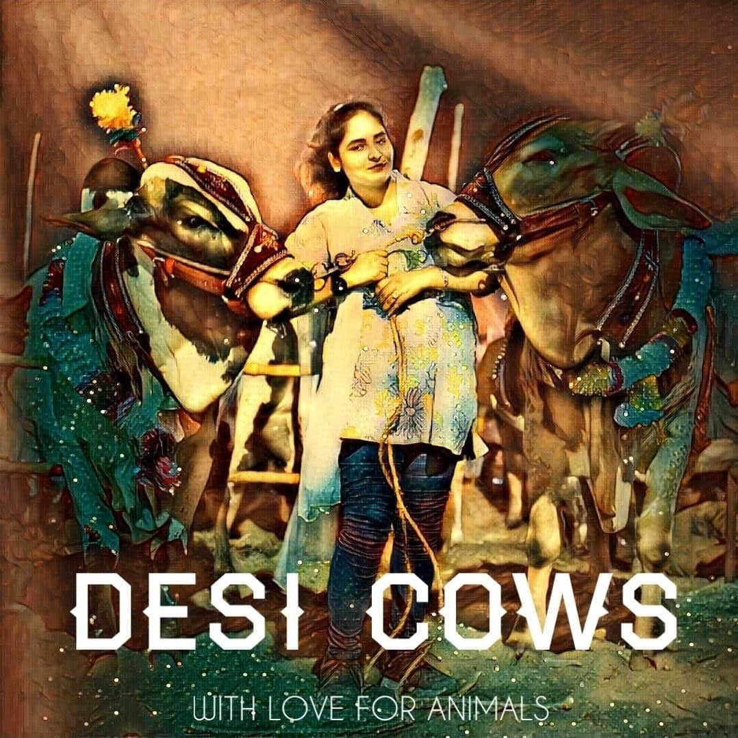 Ayesha Ghani, Karachi's Pak woman cattle seller. (Photo: Indrani IANS)