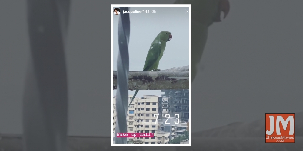 Jacqueline Fernandez.