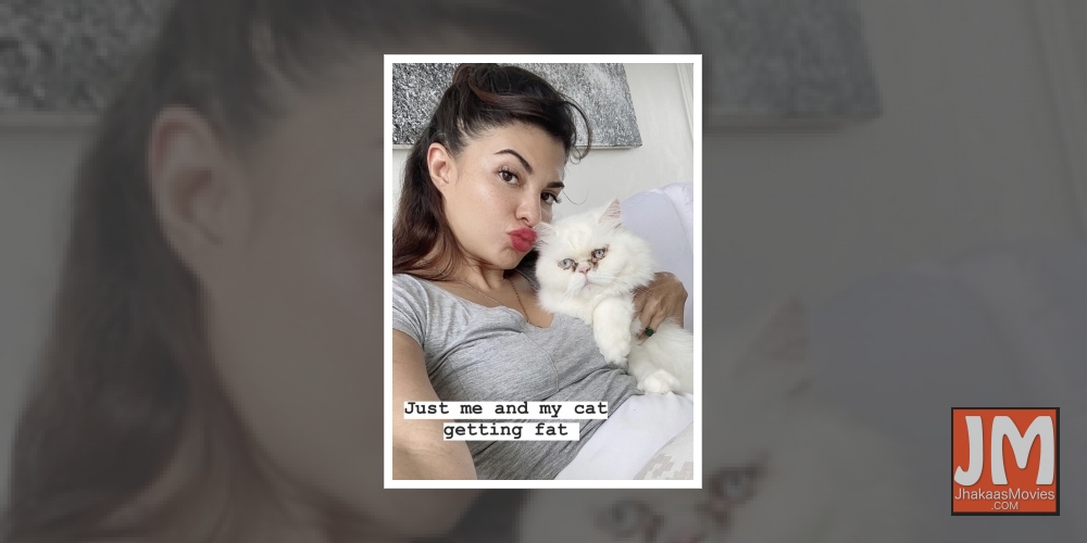 Jacqueline Fernandez