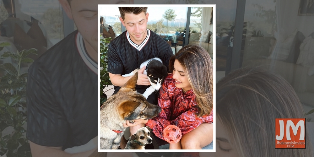 Priyanka Chopra, Nick Jonas.