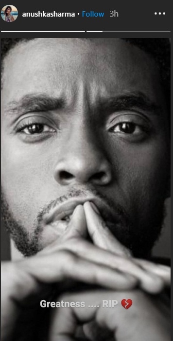 Bollywood pays tribute to 'Black Panther' star Chadwick Boseman.