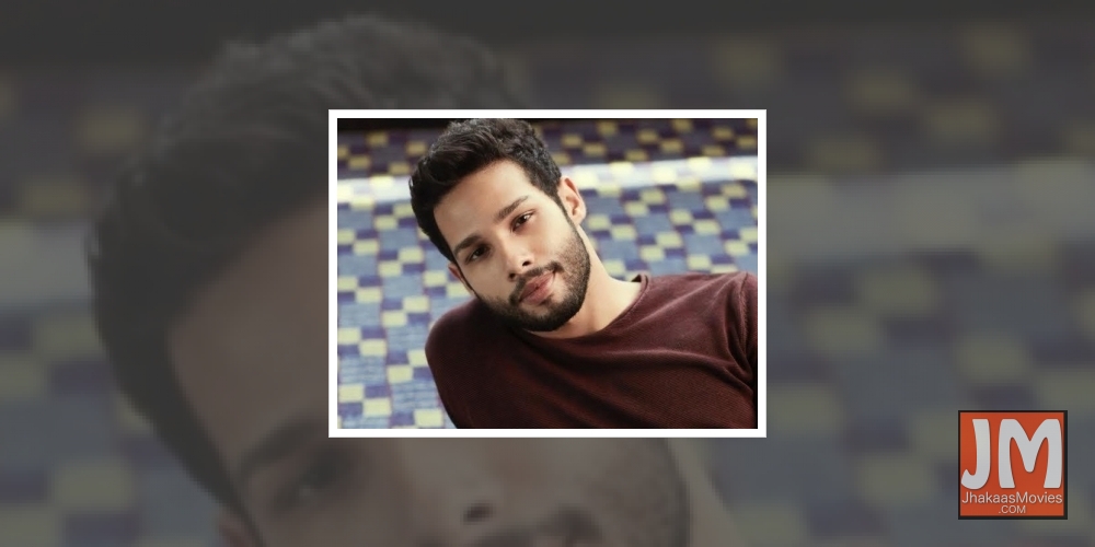 Siddhant Chaturvedi: In my head I've always been a star.