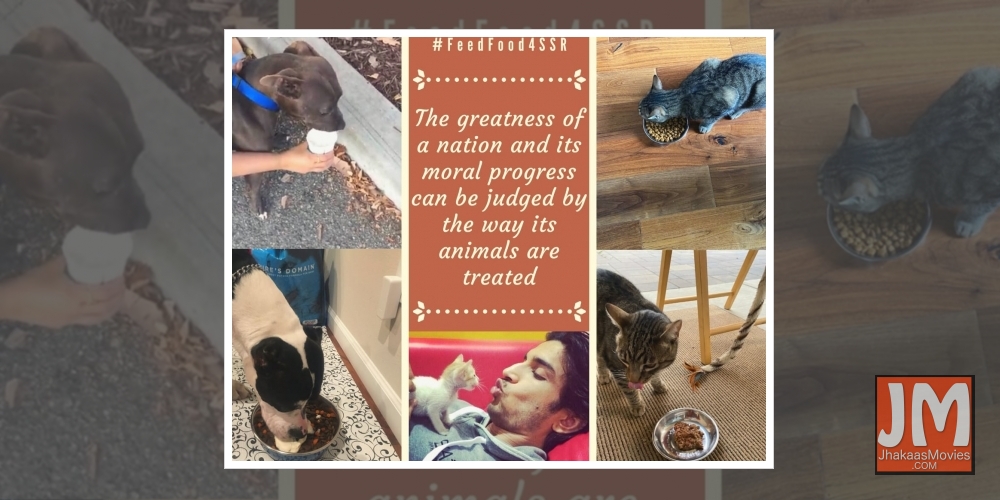 Sushant's sister initiates #FeedFood4SSR in late actor's memory.