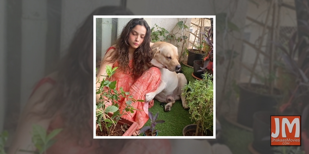 Ankita Lokhande fulfils Sushant's dream by planting saplings