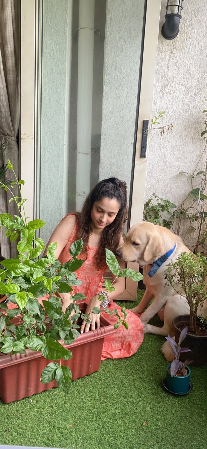 Ankita Lokhande fulfils Sushant's dream by planting saplings